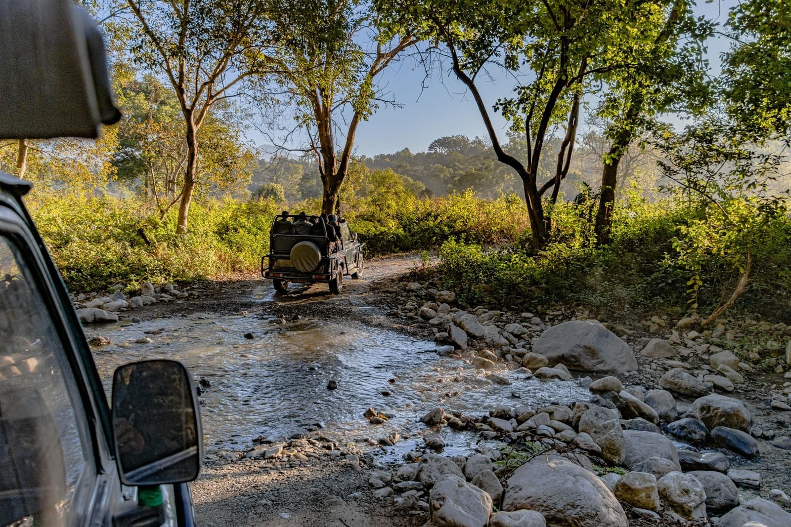 Open jeep Gypsy safari vehicle on a Ranthambore National Park jungle trail