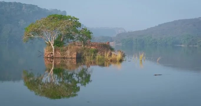 Ranthambore Fort ruins reflected in Padam Talao lake, Rajasthan
