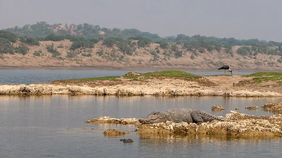 Illustrative photo: the Chambal River in Rajasthan (not taken in Zone 9)