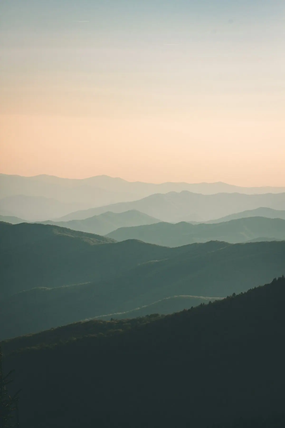 Illustrative photo: hills at sunset (not taken in Zone 10)