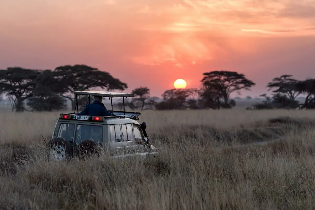 Illustrative photo: safari vehicle on a grassland trail (not taken in Zone 2)