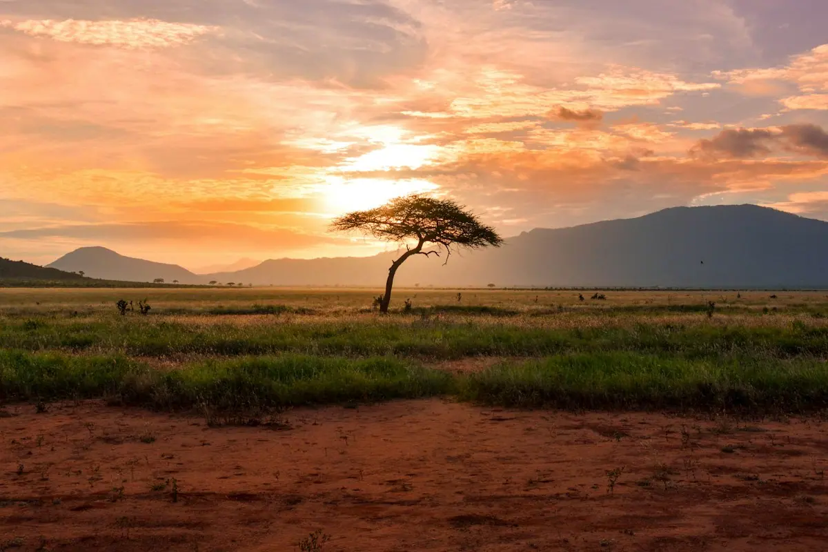 Illustrative photo: grassland valley with acacia trees (not taken in Zone 5)