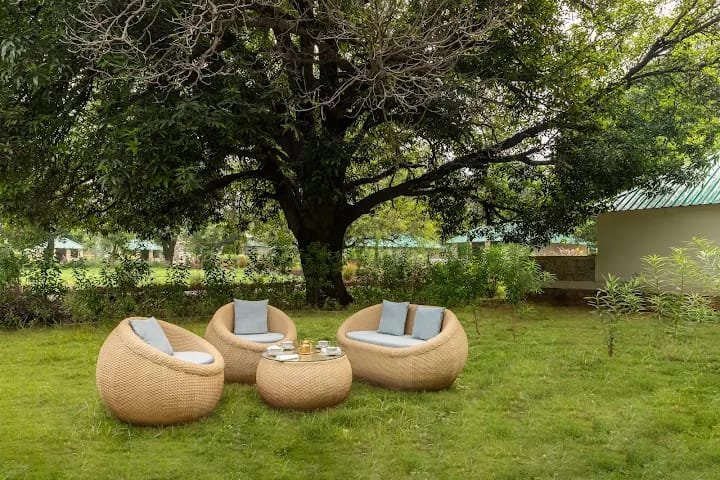 Zana forest Resort — Sawai Madhopur photo 4