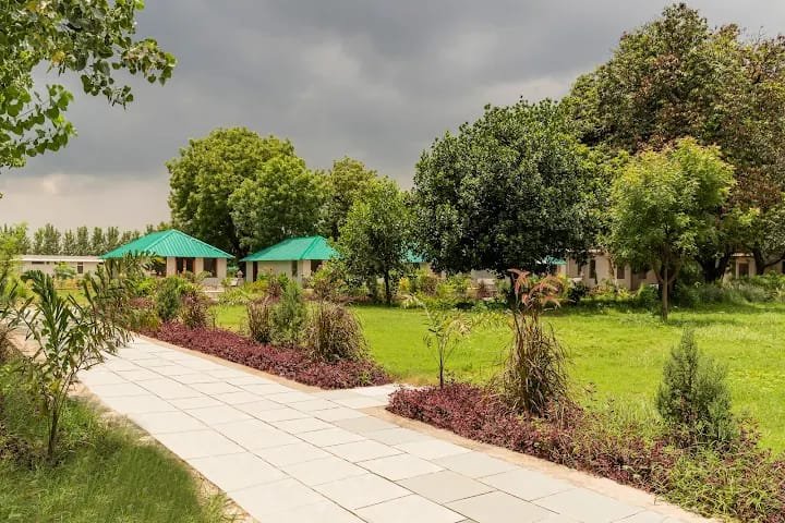 Zana forest Resort — Sawai Madhopur photo 6