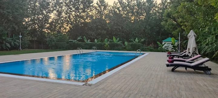 Zana forest Resort — Sawai Madhopur photo 9