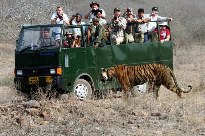 Canter Safari (Indian) — Ranthambore safari vehicle