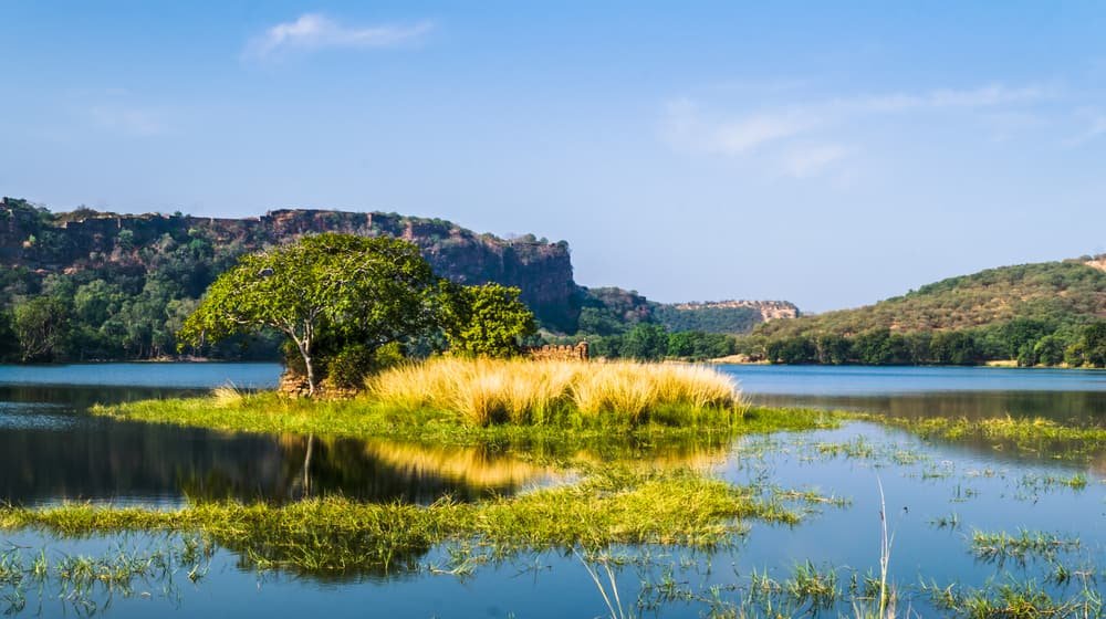 Ranthambore forest department ranger patrol safari safety