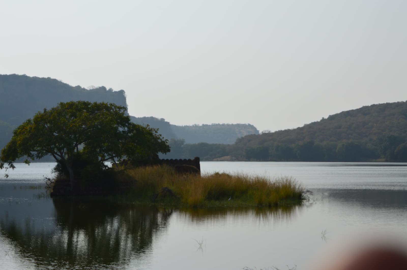 Padam Talao, the largest lake in Ranthambore National Park